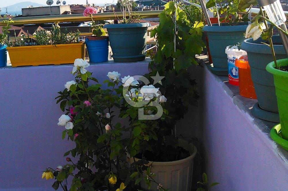 KÜÇÜKYALI'DA 4+1, TERASLI, ÇİFT BANYOLU, FERAH, KİRALIK DUBLEKS