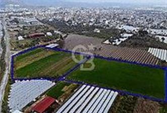 AYDIN KÖŞKTE LOJİSTİK AVANTAJLI 27500 M2 YATIRIMLIK ARAZİ - 5 - 345834