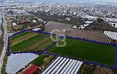 AYDIN KÖŞKTE LOJİSTİK AVANTAJLI 27500 M2 YATIRIMLIK ARAZİ
