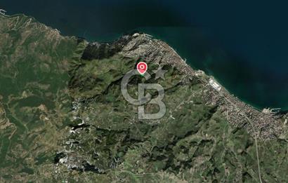 MUDANYA HALİTPAŞA DA DENİZ MANZARALI ZEYTİNLİK