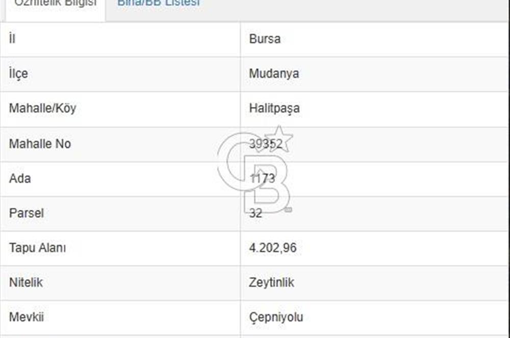 MUDANYA HALİTPAŞA DA DENİZ MANZARALI ZEYTİNLİK