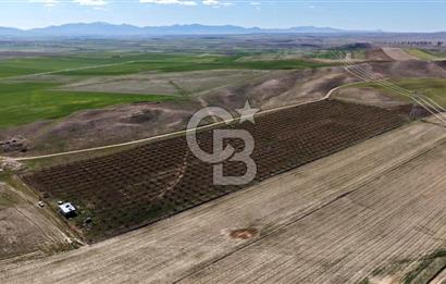 CB ENVOY Polatlı Tatlıkuyu'da Satılık 44.578 m² Bademlik