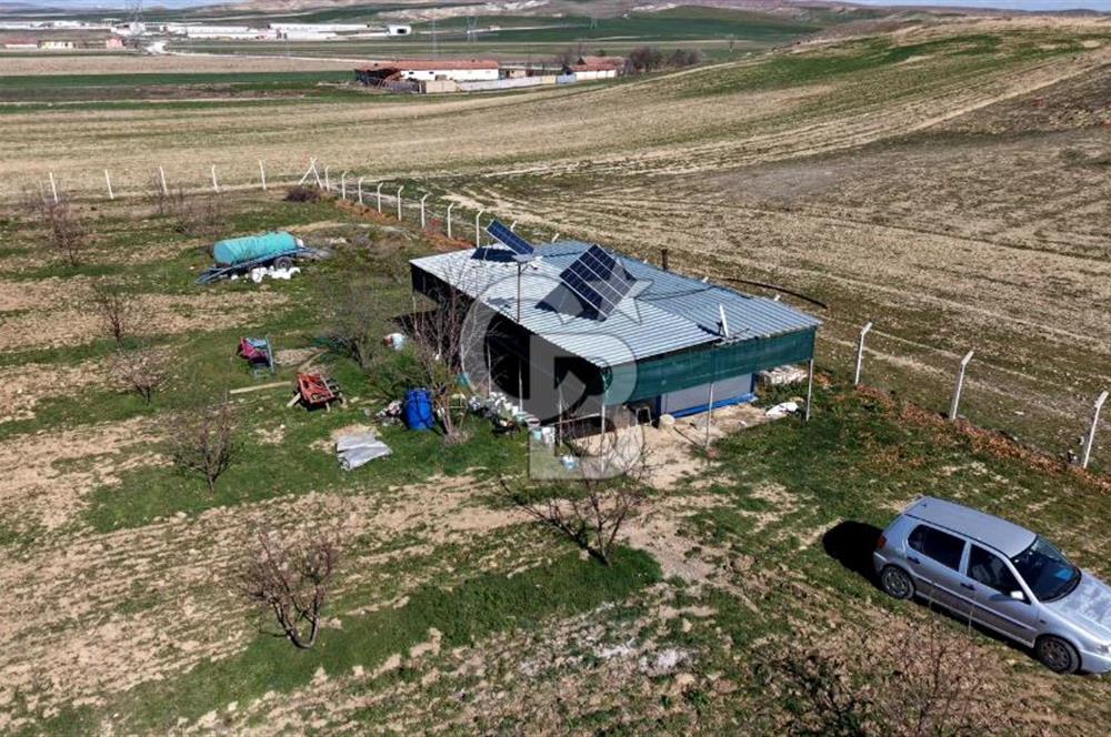 CB ENVOY Polatlı Tatlıkuyu'da Satılık 44.578 m² Bademlik