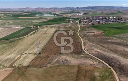 CB ENVOY Polatlı Tatlıkuyu'da Satılık 44.578 m² Bademlik
