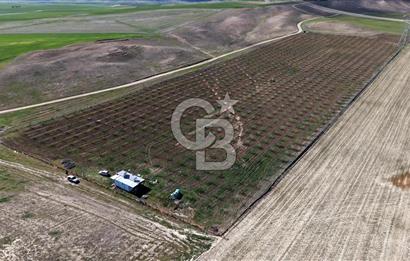 CB ENVOY Polatlı Tatlıkuyu'da Satılık 44.578 m² Bademlik