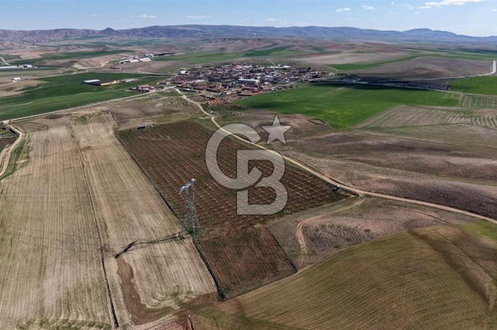 CB ENVOY Polatlı Tatlıkuyu'da Satılık 44.578 m² Bademlik