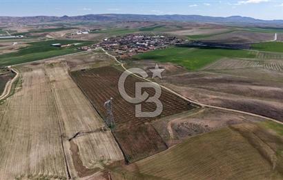 CB ENVOY Polatlı Tatlıkuyu'da Satılık 44.578 m² Bademlik