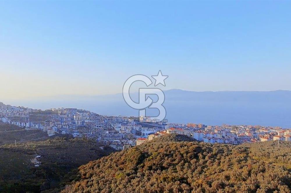 MUDANYA HALİTPAŞA DA DENİZ MANZARALI ZEYTİNLİK