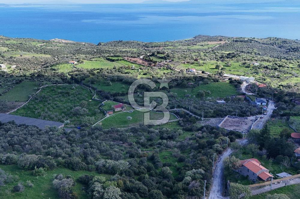 AYVACIK KOZLU'DA SATILIK 465 m² ARSA