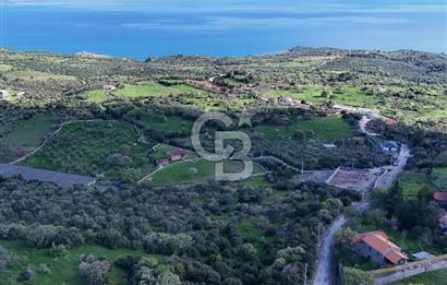 AYVACIK KOZLU'DA SATILIK 465 m² ARSA