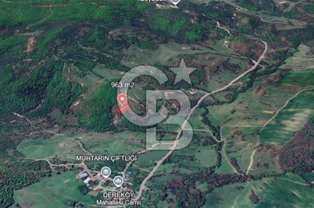 KOCAELİ KÖRFEZ DEREKÖY’DE 963 m² SATILIK ARSA | DOĞA İÇİNDE FIRSAT