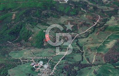 KOCAELİ KÖRFEZ DEREKÖY’DE 963 m² SATILIK ARSA | DOĞA İÇİNDE FIRSAT