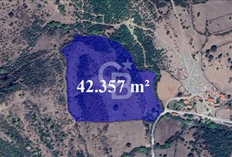 AYVACIK PINARDEREDE 42.357 m² İMARLI | PROJELİK FIRSAT - 1 - 345899