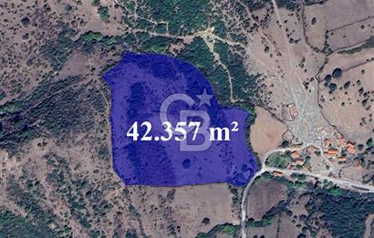 AYVACIK PINARDEREDE 42.357 m² İMARLI | PROJELİK FIRSAT