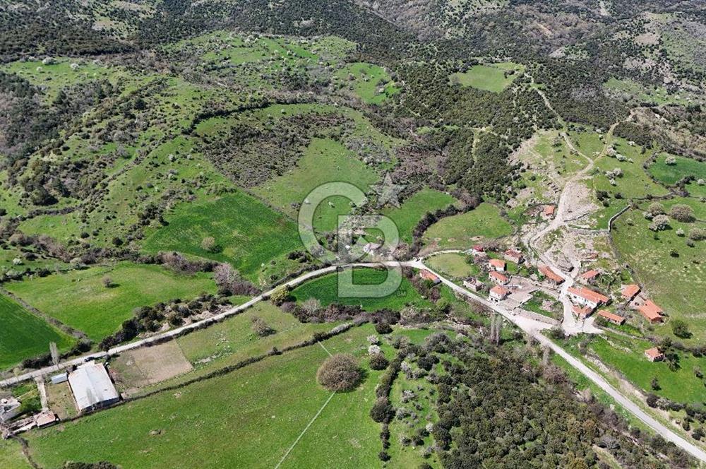 AYVACIK PINARDEREDE 42.357 m² İMARLI | PROJELİK FIRSAT