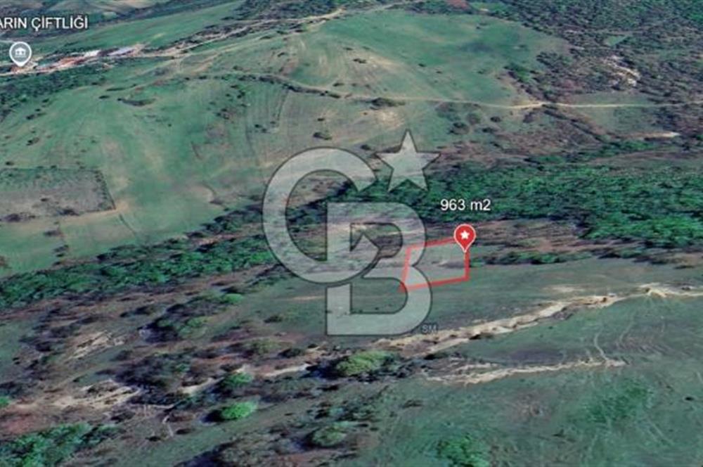 KOCAELİ KÖRFEZ DEREKÖY’DE 963 m² SATILIK ARSA | DOĞA İÇİNDE FIRSAT