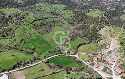 AYVACIK PINARDEREDE 42.357 m² İMARLI | PROJELİK FIRSAT