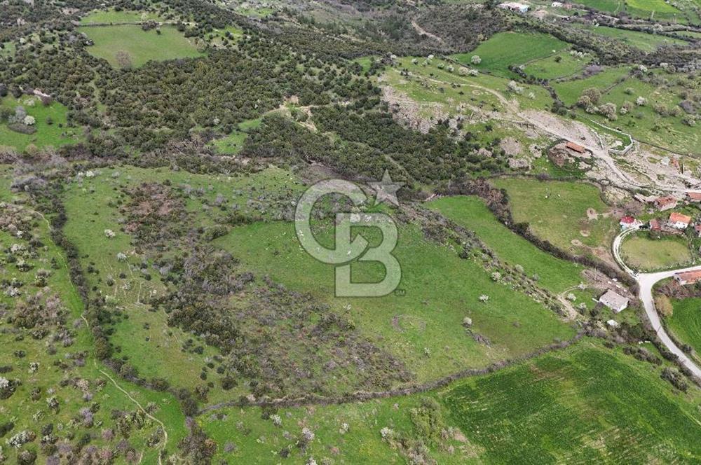 AYVACIK PINARDEREDE 42.357 m² İMARLI | PROJELİK FIRSAT