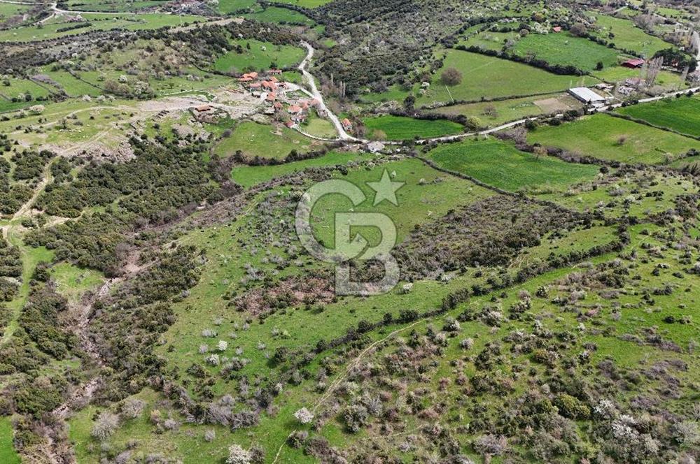 AYVACIK PINARDEREDE 42.357 m² İMARLI | PROJELİK FIRSAT