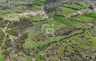 AYVACIK PINARDEREDE 42.357 m² İMARLI | PROJELİK FIRSAT