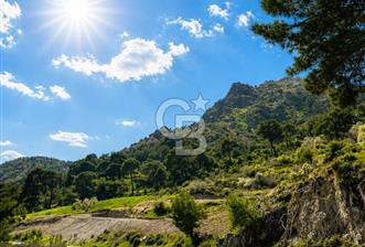 İzmir Bergama Yola Cepheli 4637 M2 Acil Fırsat Satılık Tarla - 12 - 345922