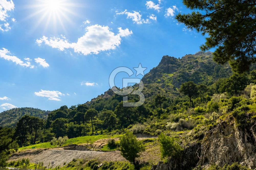 İzmir Bergama Yola Cepheli 4637 M2 Acil Fırsat Satılık Tarla