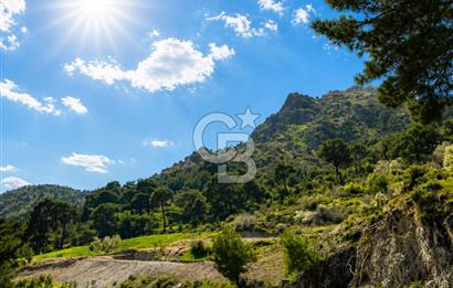 İzmir Bergama Yola Cepheli 4637 M2 Acil Fırsat Satılık Tarla