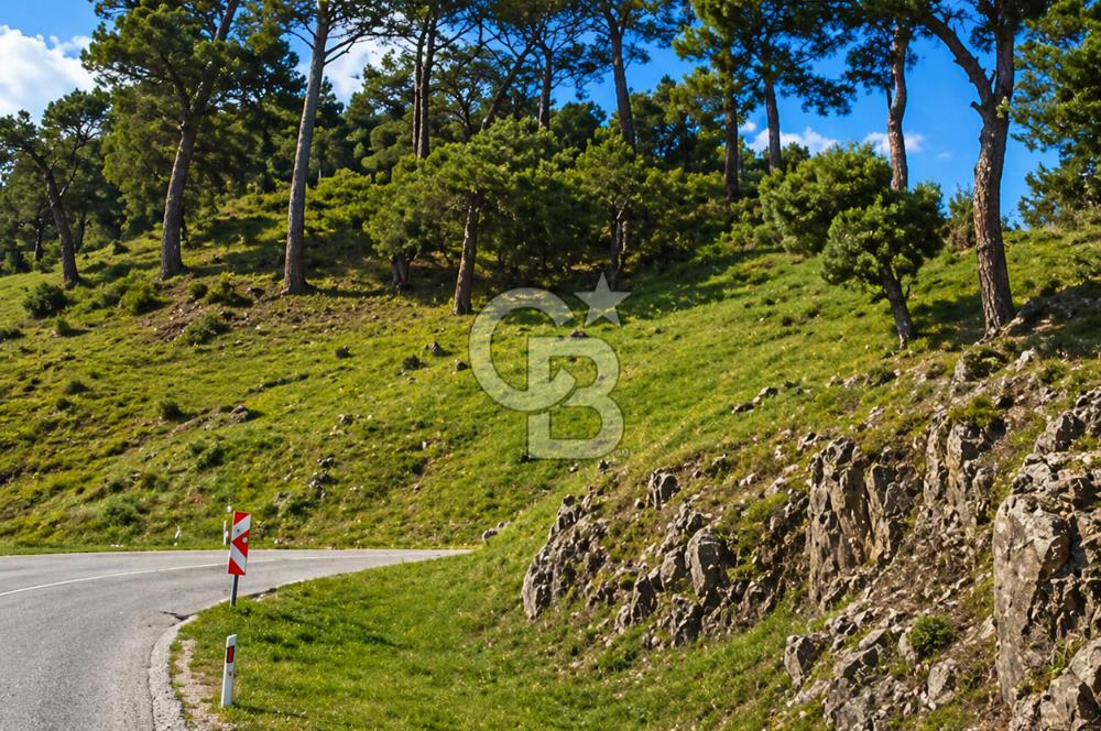 İzmir Bergama Yola Cepheli 4637 M2 Acil Fırsat Satılık Tarla