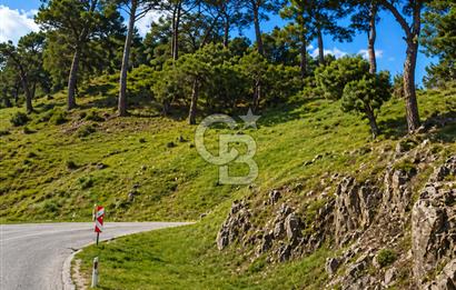 İzmir Bergama Yola Cepheli 4637 M2 Acil Fırsat Satılık Tarla