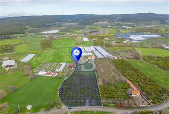 Seferihisar Düzce’de Satılık Arazi 11107 m - 3 - 345887