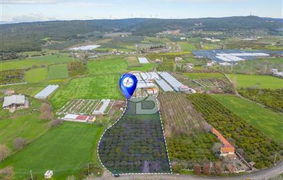 Seferihisar Düzce’de Satılık Arazi 11107 m