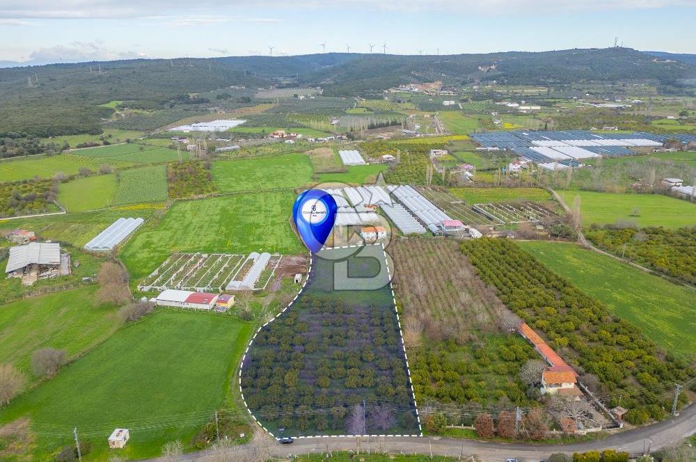 Seferihisar Düzce’de Satılık Arazi 11107 m