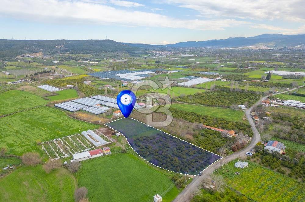 Seferihisar Düzce’de Satılık Arazi 11107 m