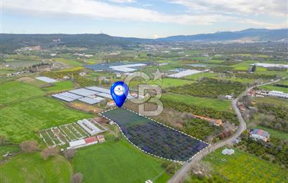 Seferihisar Düzce’de Satılık Arazi 11107 m