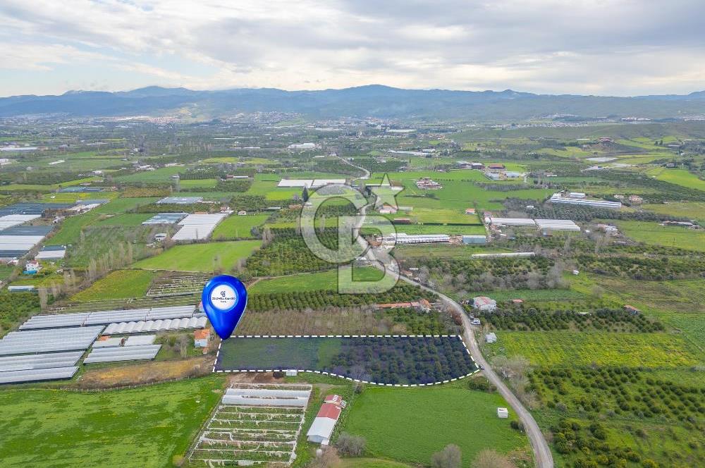 Seferihisar Düzce’de Satılık Arazi 11107 m