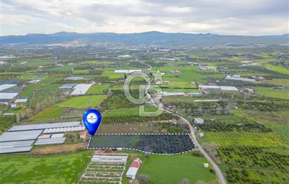 Seferihisar Düzce’de Satılık Arazi 11107 m