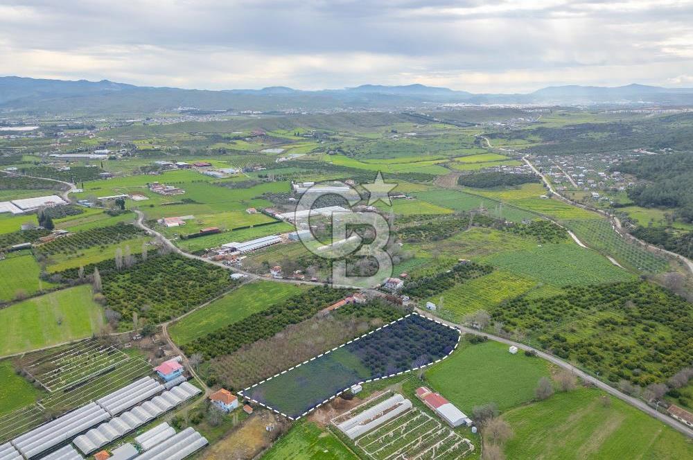 Seferihisar Düzce’de Satılık Arazi 11107 m