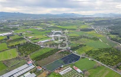 Seferihisar Düzce’de Satılık Arazi 11107 m