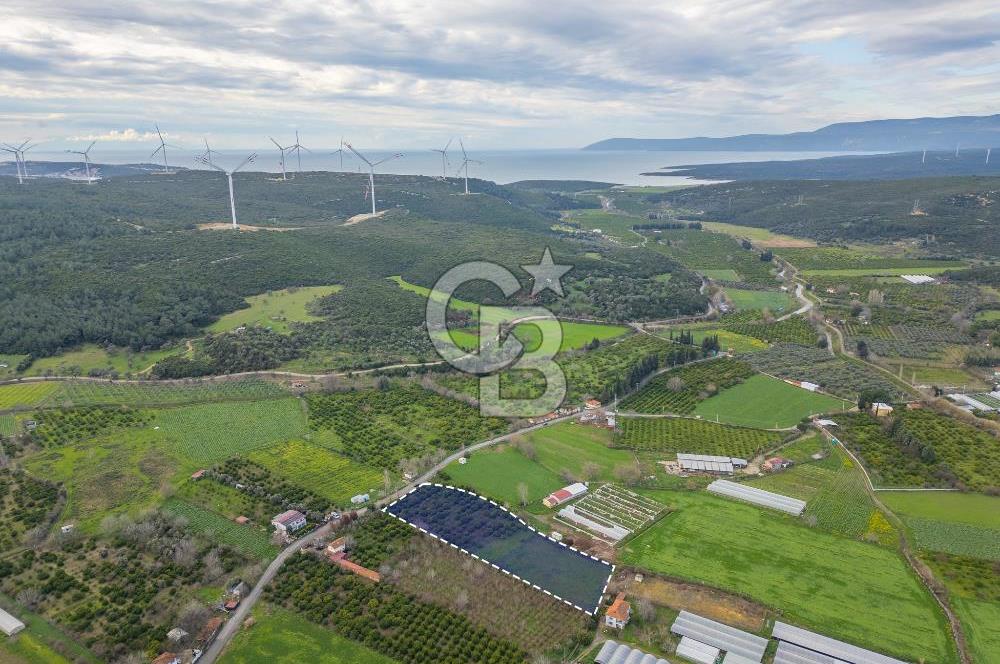 Seferihisar Düzce’de Satılık Arazi 11107 m