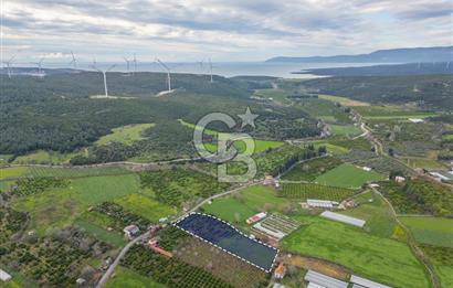 Seferihisar Düzce’de Satılık Arazi 11107 m