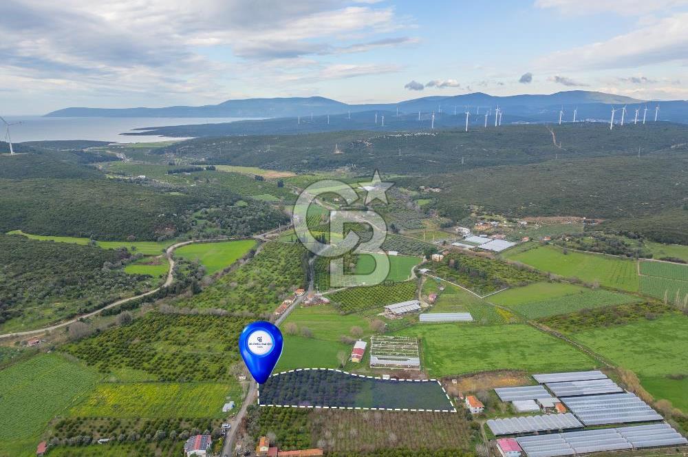 Seferihisar Düzce’de Satılık Arazi 11107 m