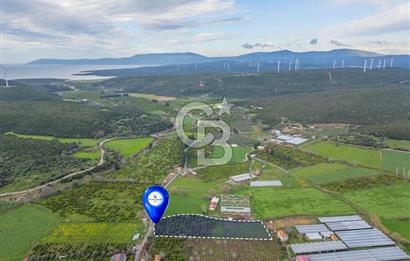 Seferihisar Düzce’de Satılık Arazi 11107 m