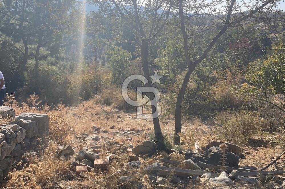 İzmir Bergama Merkeze Yakın İmarlı Fırsat Satılık Arsa