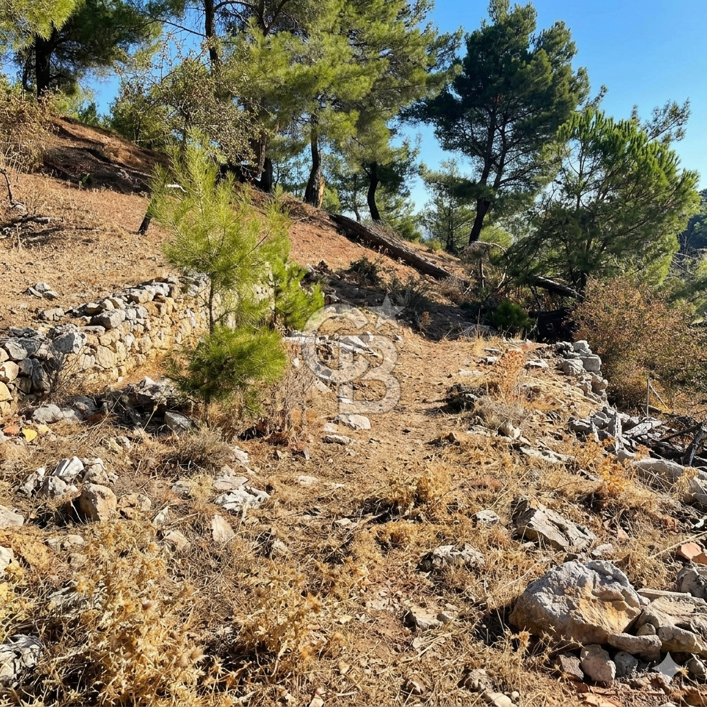 İzmir Bergama Merkeze Yakın İmarlı Fırsat Satılık Arsa