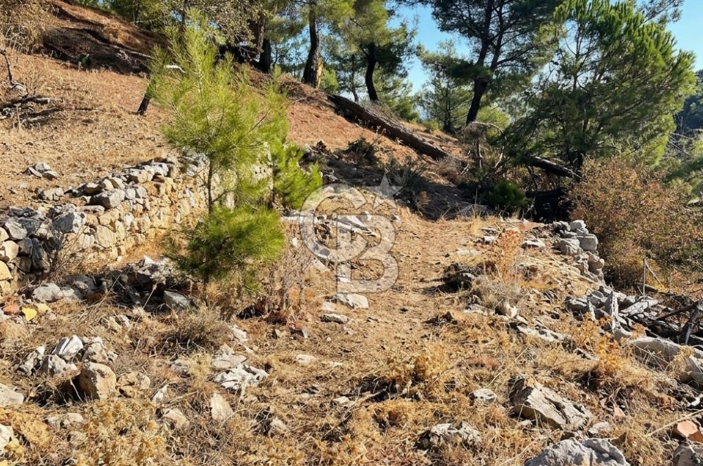 İzmir Bergama Merkeze Yakın İmarlı Fırsat Satılık Arsa