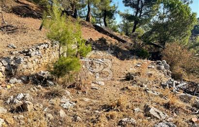 İzmir Bergama Merkeze Yakın İmarlı Fırsat Satılık Arsa