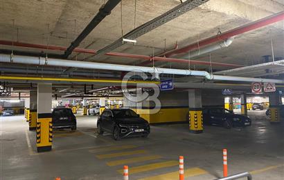 EMLAK KONUT ÇINARKÖY EVLERİ BÜYÜK TİP 1+1 KİRALIK DAİRE