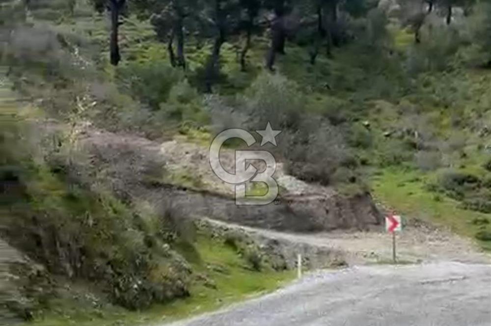 İzmir Bergama Yola Cepheli 4637 M2 Acil Fırsat Satılık Tarla