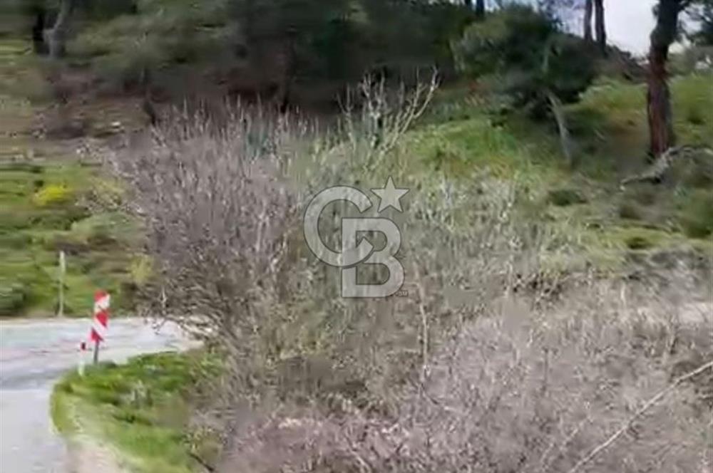 İzmir Bergama Yola Cepheli 4637 M2 Acil Fırsat Satılık Tarla