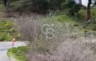 İzmir Bergama Yola Cepheli 4637 M2 Acil Fırsat Satılık Tarla